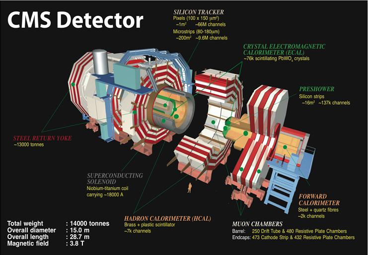 CMS-detector.jpg CMS-detector.jpg
